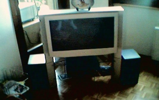 Therapeutisches Fernsehen