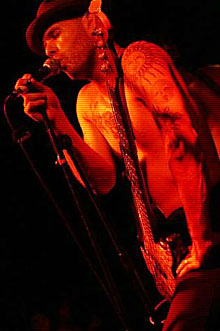 Mother Tongue: David Gould